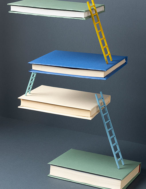 different-levels-studies